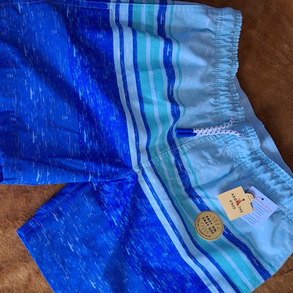 Blue Striped Swim Shorts